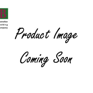 Abc Gel Vitality Mattress